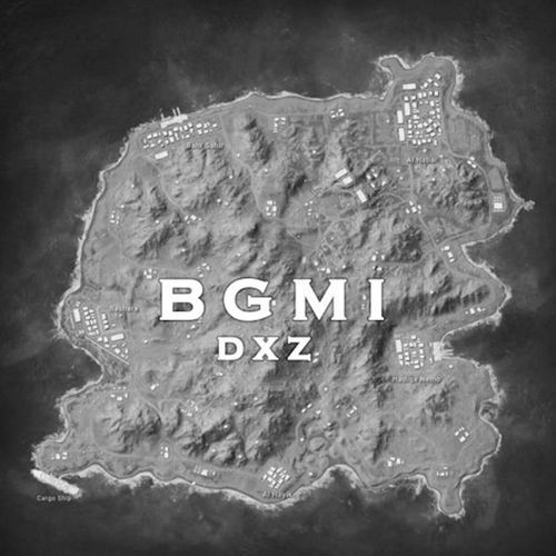 Bgmi lyrics